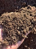 Compost